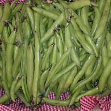 Verduras y hortalizas de temporada