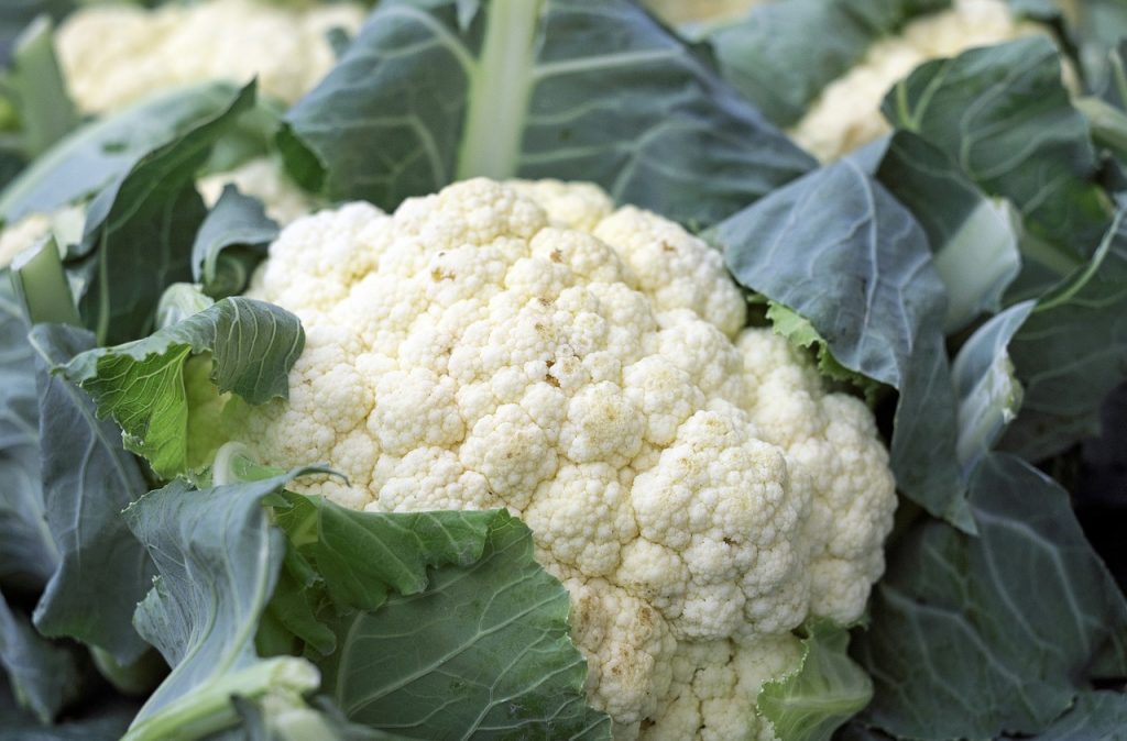 La coliflor un súper alimento