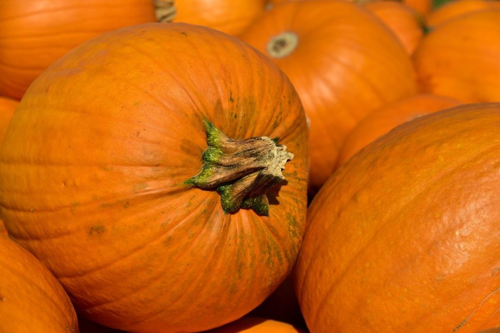 La calabaza, modesta y versátil